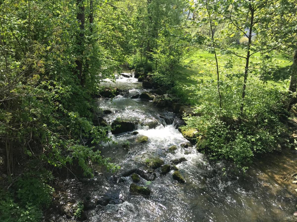 Grosse Und Helle 3 Zi Wohnung In Lossburg-Betzweiler, Schwarzwald Ngoại thất bức ảnh